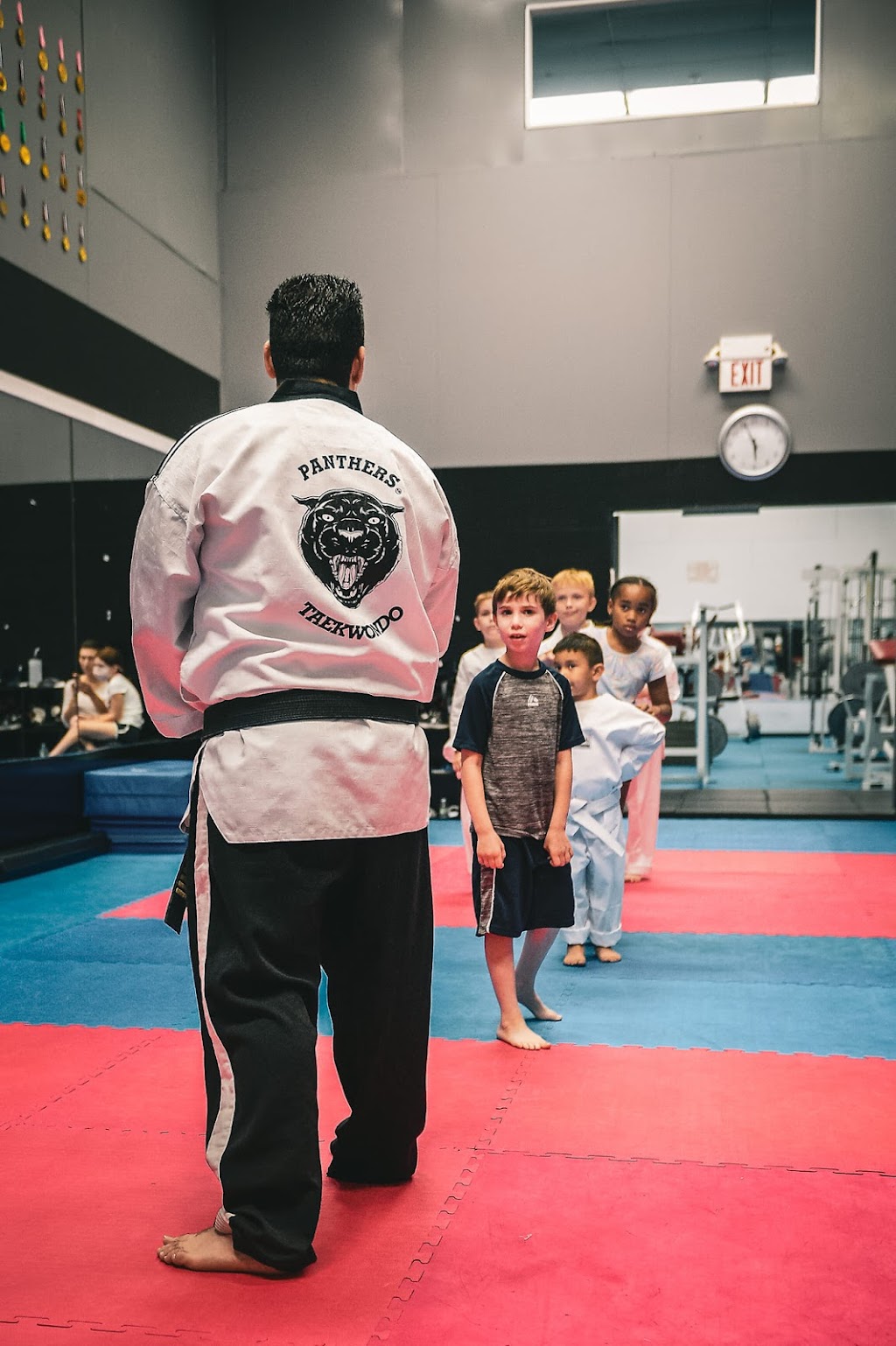 Panthers Taekwondo | 267 Cherry Ln, Airmont, NY 10952, USA | Phone: (845) 543-8009