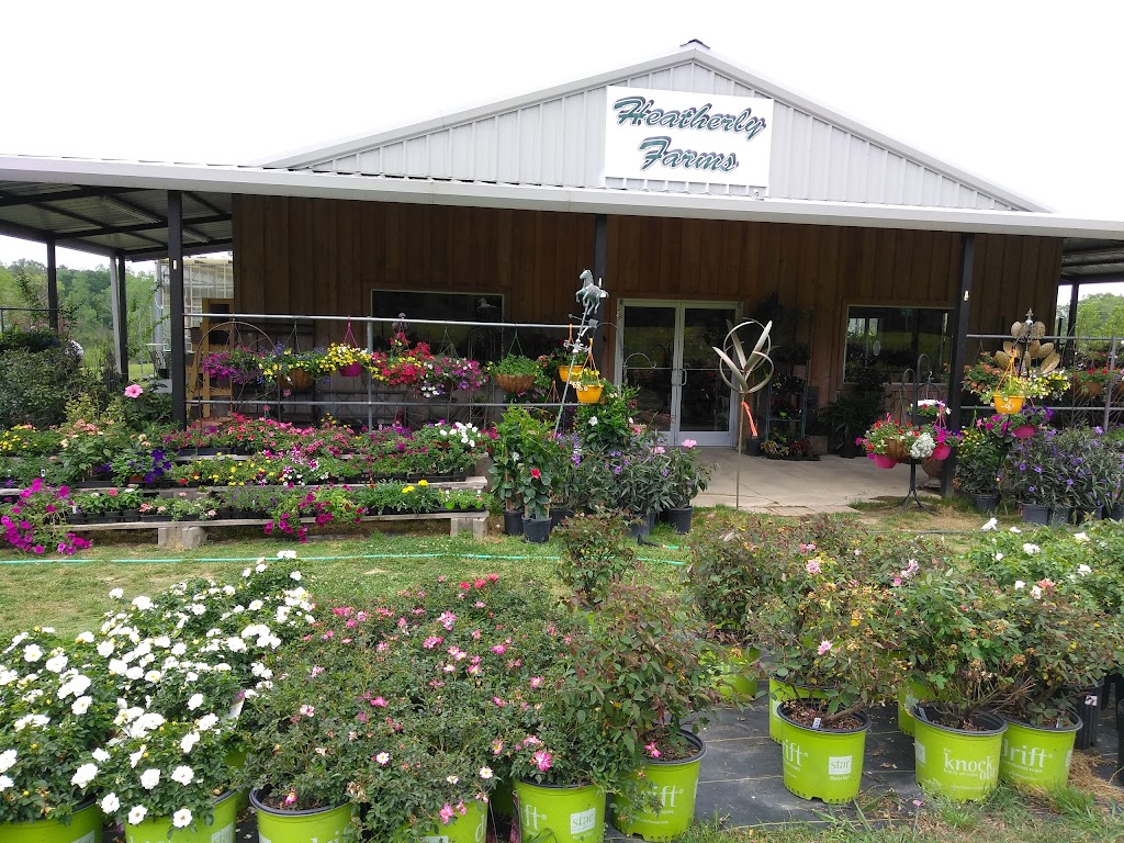 Heatherly Farms | 25 Co Rd 260, Cullman, AL 35057, USA | Phone: (256) 287-9744