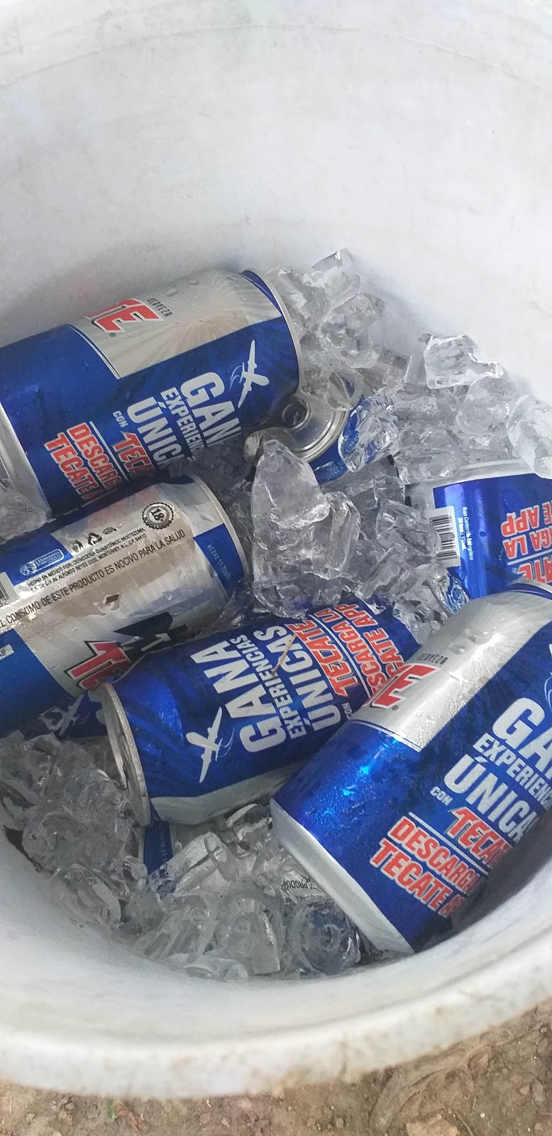 Bloom Beauty Studio | P.º Playas de Tijuana 1039, Seccion Terrazas Playas de, Terrazas, 22504 Tijuana, B.C., Mexico | Phone: 664 210 5960 Bloom Beauty Studio | P.º Playas de Tijuana 1039, Seccion Terrazas Playas de, Terrazas, 22504 Tijuana, B.C., Mexico | Phone: 664 210 5960