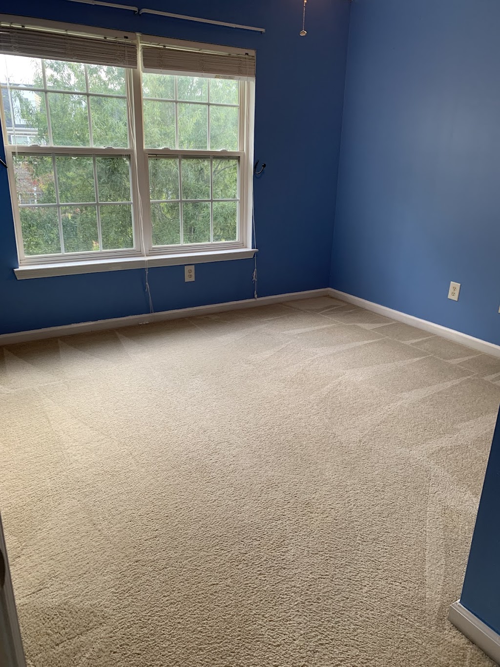 Carolina Carpet Cleaning | 18631 Northline Dr e, Cornelius, NC 28031, USA | Phone: (704) 663-5859