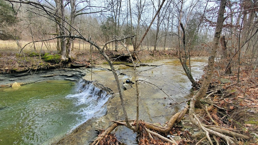 Morgan Conservation Park | 1200 KY-524, La Grange, KY 40031, USA | Phone: (502) 225-0655