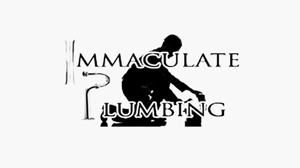 Immaculate Plumbing | 13251 Holly St, Thornton, CO 80241, USA | Phone: (720) 767-4443