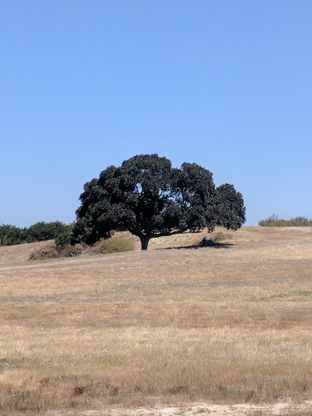 Business Park Recreational Facility | Faraday Avenue and Camino Hills Drive, Camino Hills Dr, Carlsbad, CA 92008, USA | Phone: (760) 602-4680