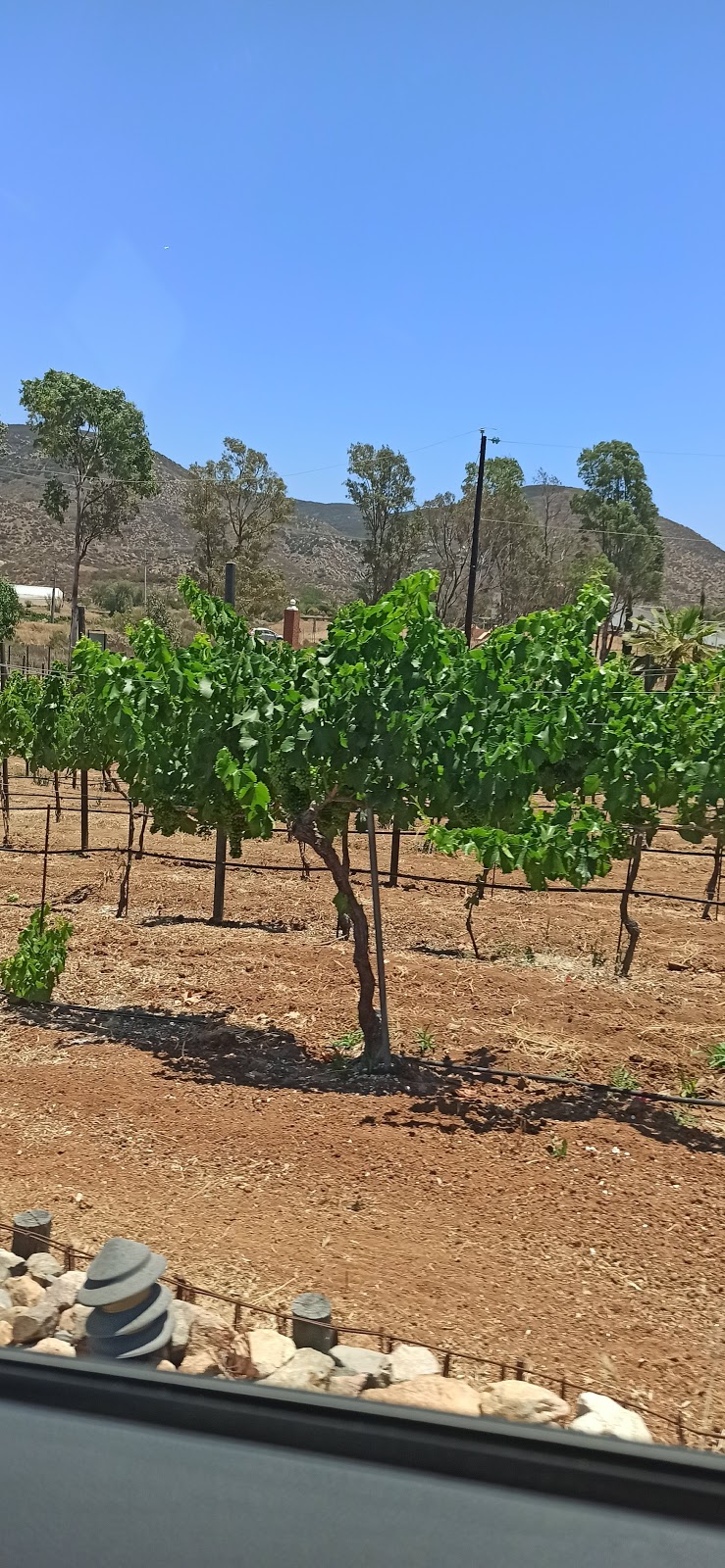 La Quinta Bonita | Camino Vecinal Porvenir Parcela 49 Valle de Guadalupe Ensenada C.P. 22750, 22750 María Teresa, B.C., Mexico | Phone: (805) 390-9463