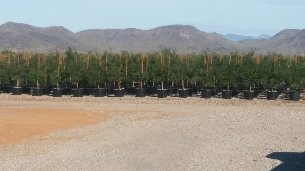 Arizona Wholesale Growers 7234 W Maddock Rd, Phoenix, AZ 85086, USA