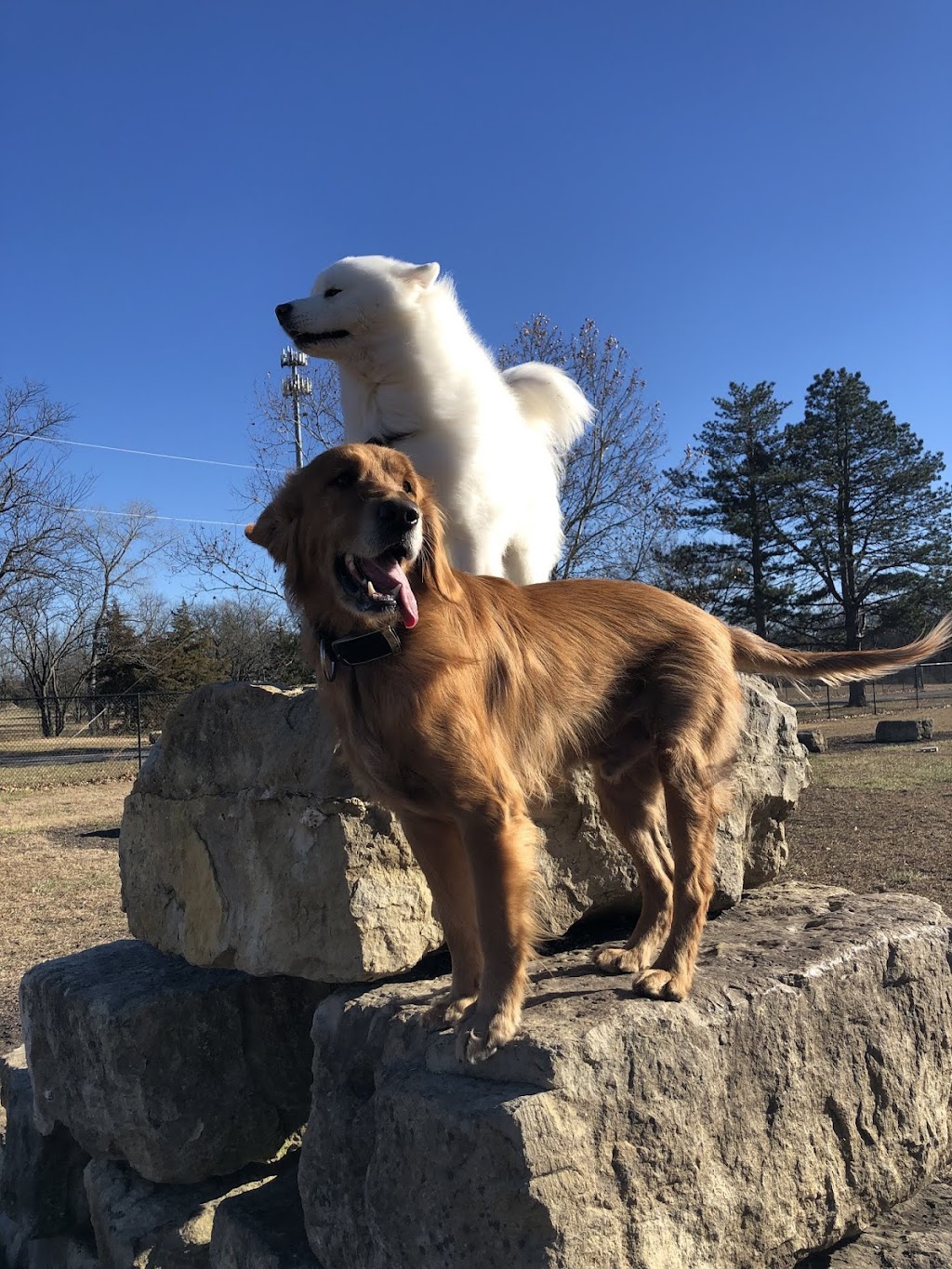 Dog Park in Andover Central Park | 1305 Central Ave, Andover, KS 67002, USA | Phone: (316) 733-1303