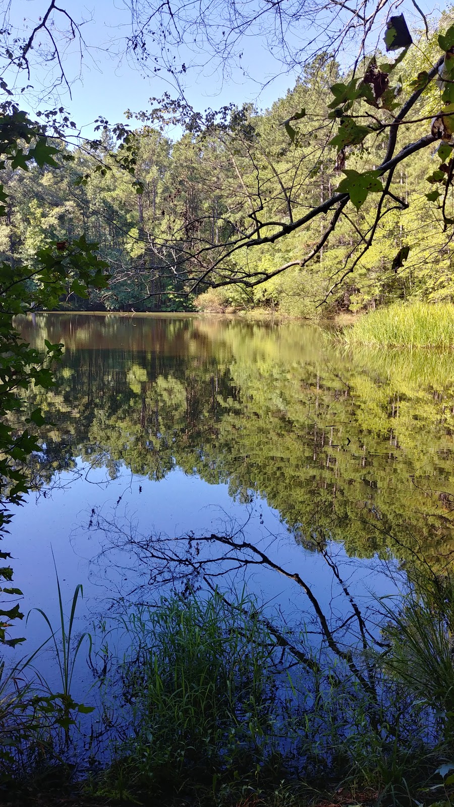 Ebenezer Church Recreation Area | 2582 Beaver Creek Rd, Apex, NC 27523, USA | Phone: (919) 362-0586