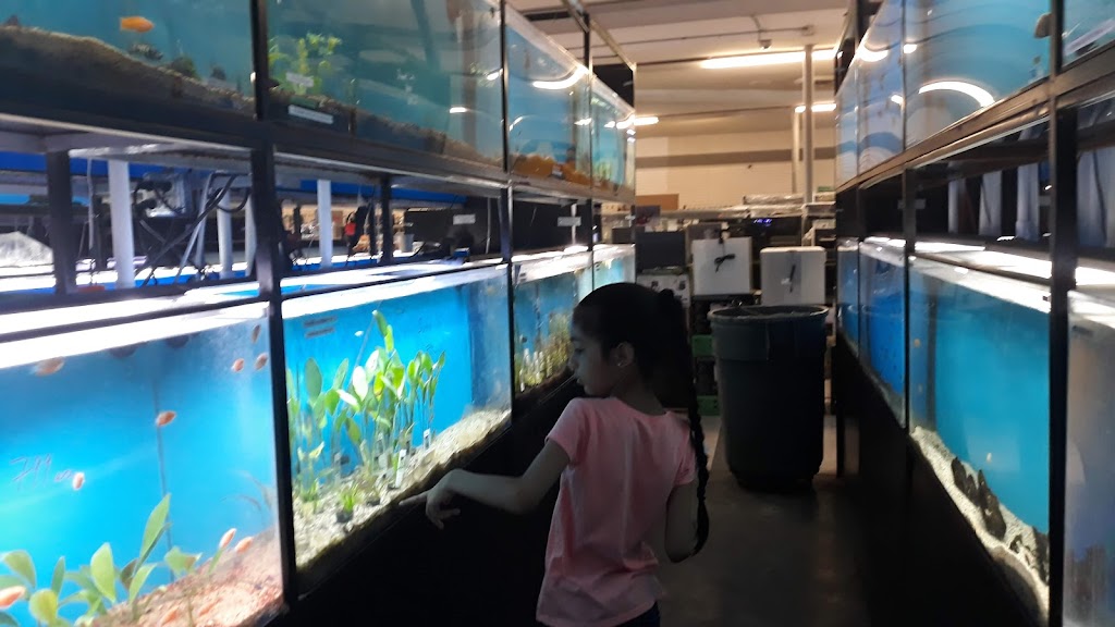 Exotic Aquarium | 6643 Franklin Blvd, Sacramento, CA 95823, USA | Phone: (916) 422-7266