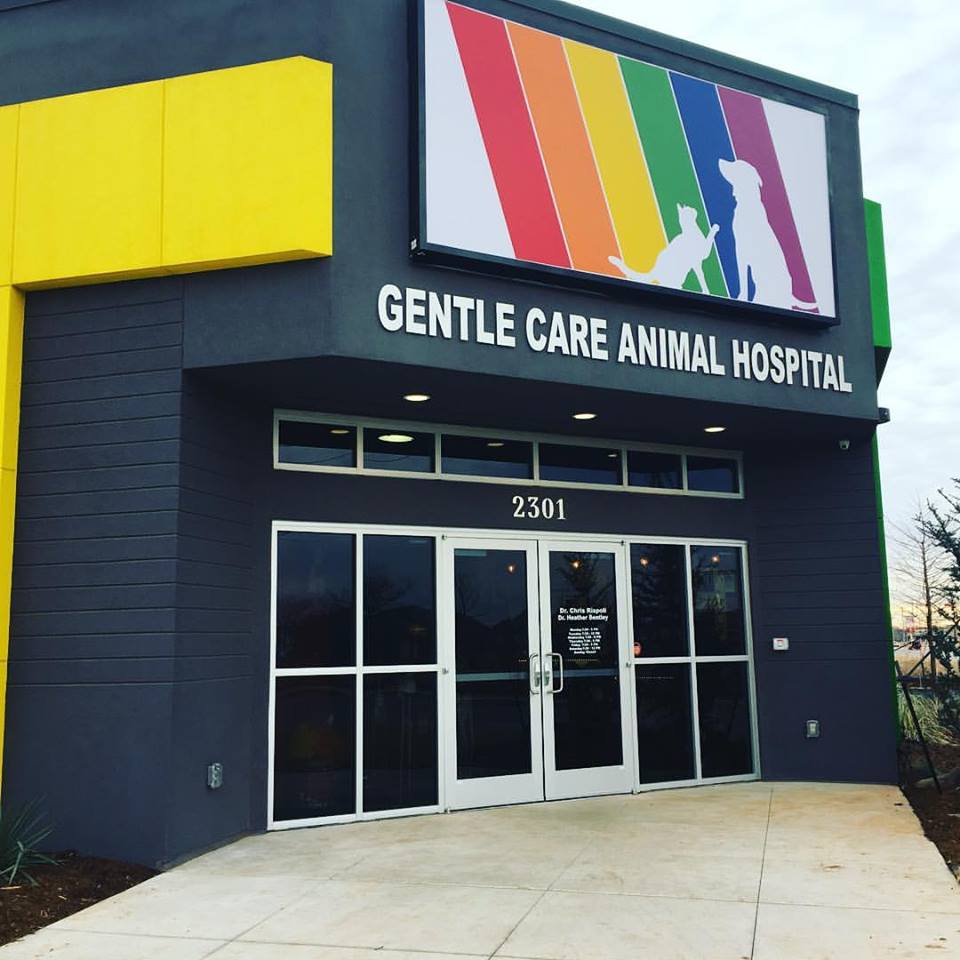 Gentle Care Animal Hospital | 2301 NW 178th St, Edmond, OK 73012, USA | Phone: (405) 285-9663