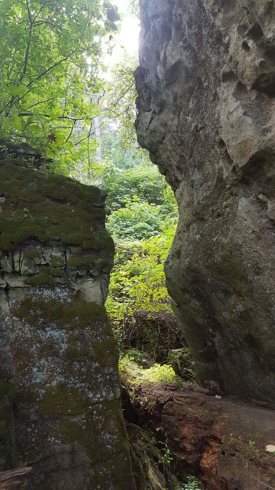 Cave Springs Conservation Area | 3949 Cave Spring Rd, Campden, ON L0R 1G0, Canada | Phone: (905) 788-3135