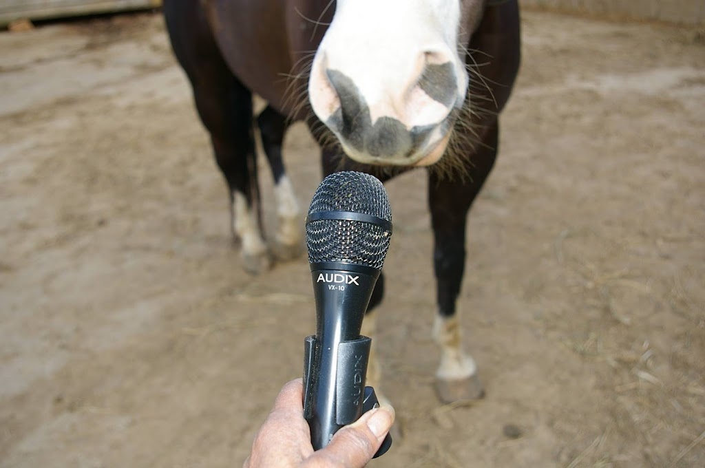 Equine Audio | W9359 Emberson Ln #9670, Blanchardville, WI 53516, USA | Phone: (866) 370-7727