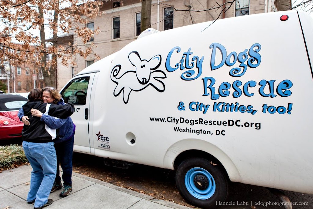 City Dogs Daycare | 301 H St NE, Washington, DC 20002, USA | Phone: (202) 544-0891