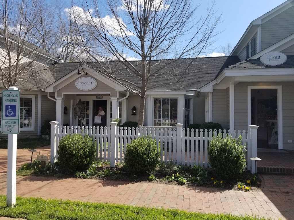 Dovecote Style | 250 Market St, Pittsboro, NC 27312, USA | Phone: (919) 542-1145