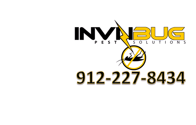 Invizibug Pest Solutions | 463241 State Rd 200, Yulee, FL 32097, USA | Phone: (912) 227-8434