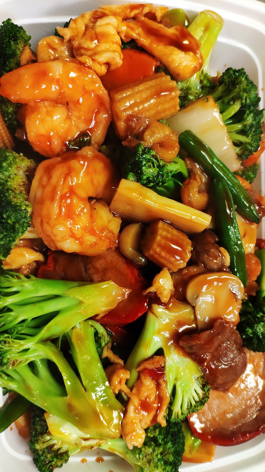Ghengis Kahn Express | 295 N Main St, Spring Valley, NY 10977, USA | Phone: (845) 356-7707