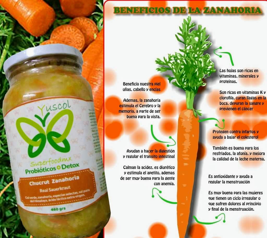 Yuscol Mx | Aguascalientes #72, Ejido Ruiz Cortines, 22810 Ensenada, B.C., Mexico | Phone: 664 123 3077