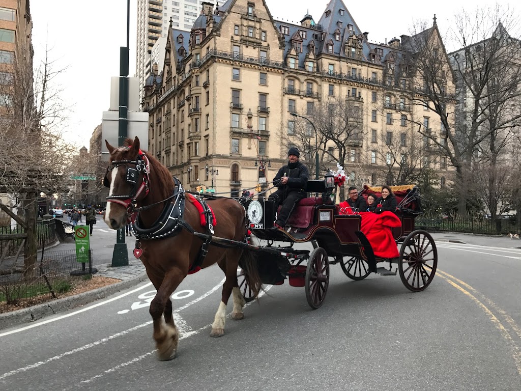 NYC Horse Carriage Rides™ EST.1979 | 7th Ave & West 59th Street, Central Park S, New York, NY 10019, USA | Phone: (516) 606-6212