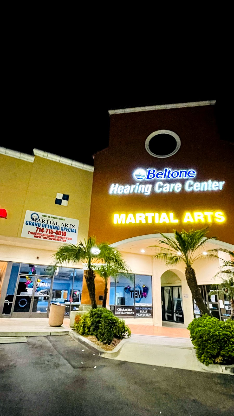 TEMA - True Education of Martial Arts | 1030 E Bastanchury Rd, Fullerton, CA 92835, USA | Phone: (714) 715-4010