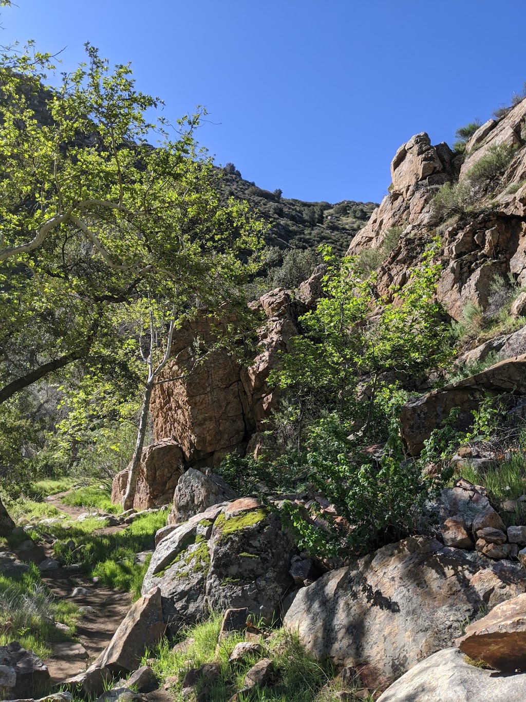 Cedar Creek Falls Trailhead | 15519 Thornbush Rd, Ramona, CA 92065, USA | Phone: (760) 788-0250