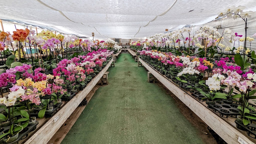 Bay Area Orchids | 12511 San Mateo Rd, Half Moon Bay, CA 94019, USA | Phone: (650) 922-4975