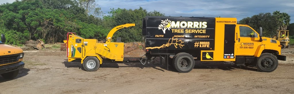 Morris Tree Service | 9507 State Rd 52, Hudson, FL 34669, USA | Phone: (727) 326-4337