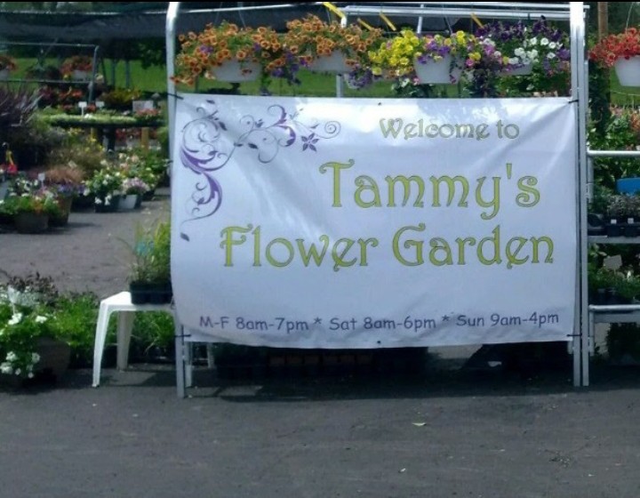 Tammys Flower Garden | 1583 W Pearce Blvd, Wentzville, MO 63385, USA | Phone: (636) 639-6004