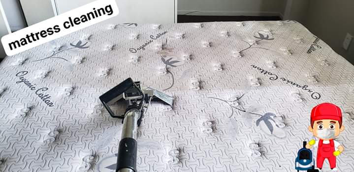 fast carpet cleaning | 330 E Leatrice Ln, Anaheim, CA 92802 | Phone: (714) 924-0630