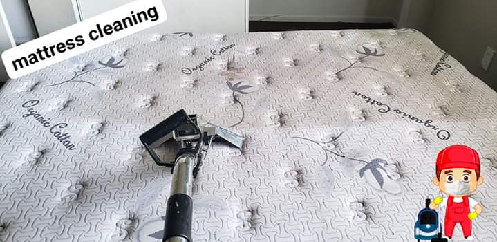 fast carpet cleaning | 330 E Leatrice Ln, Anaheim, CA 92802, USA | Phone: (714) 924-0630