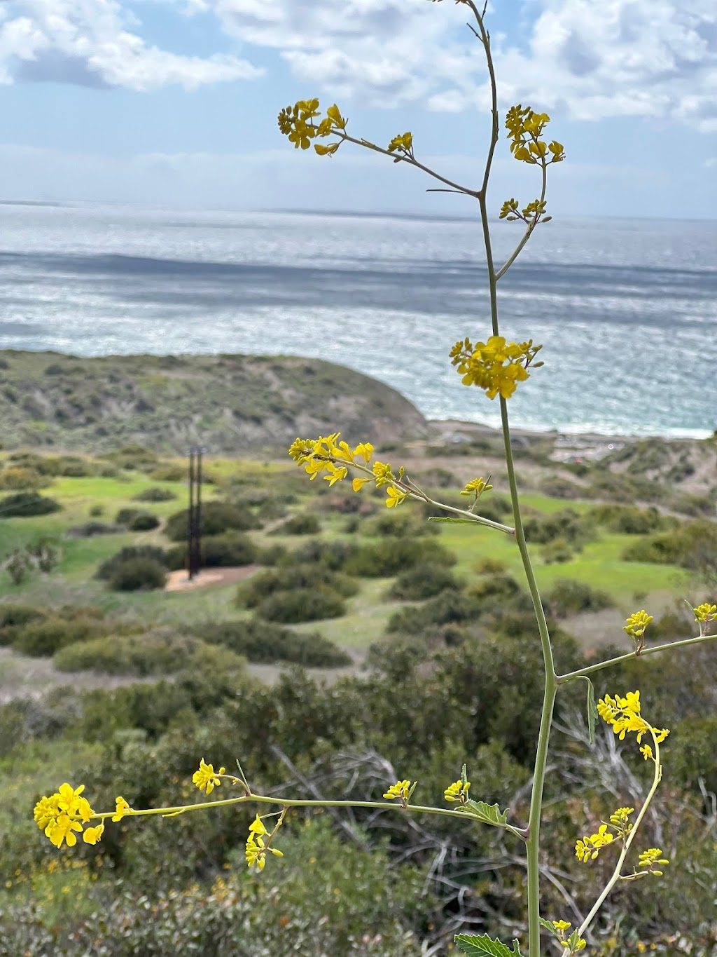 Lower Moro Parking Lot, Crystal Cove State Park | El Moro Canyon Trail, Laguna Beach, CA 92651, USA | Phone: (949) 494-3539