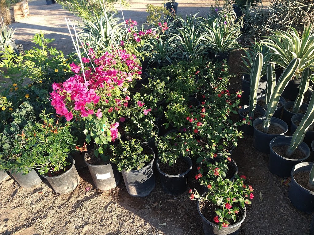 Espinozas Landscaping | 10756 E Adamsville Rd, Florence, AZ 85132, USA | Phone: (520) 251-1498