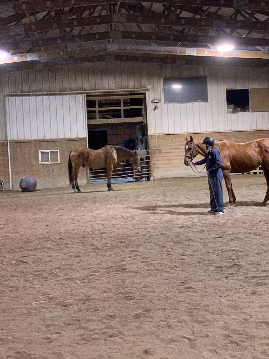 Hillcroft Stables | 5825 Mariaville Rd, Schenectady, NY 12306, USA | Phone: (518) 864-5878