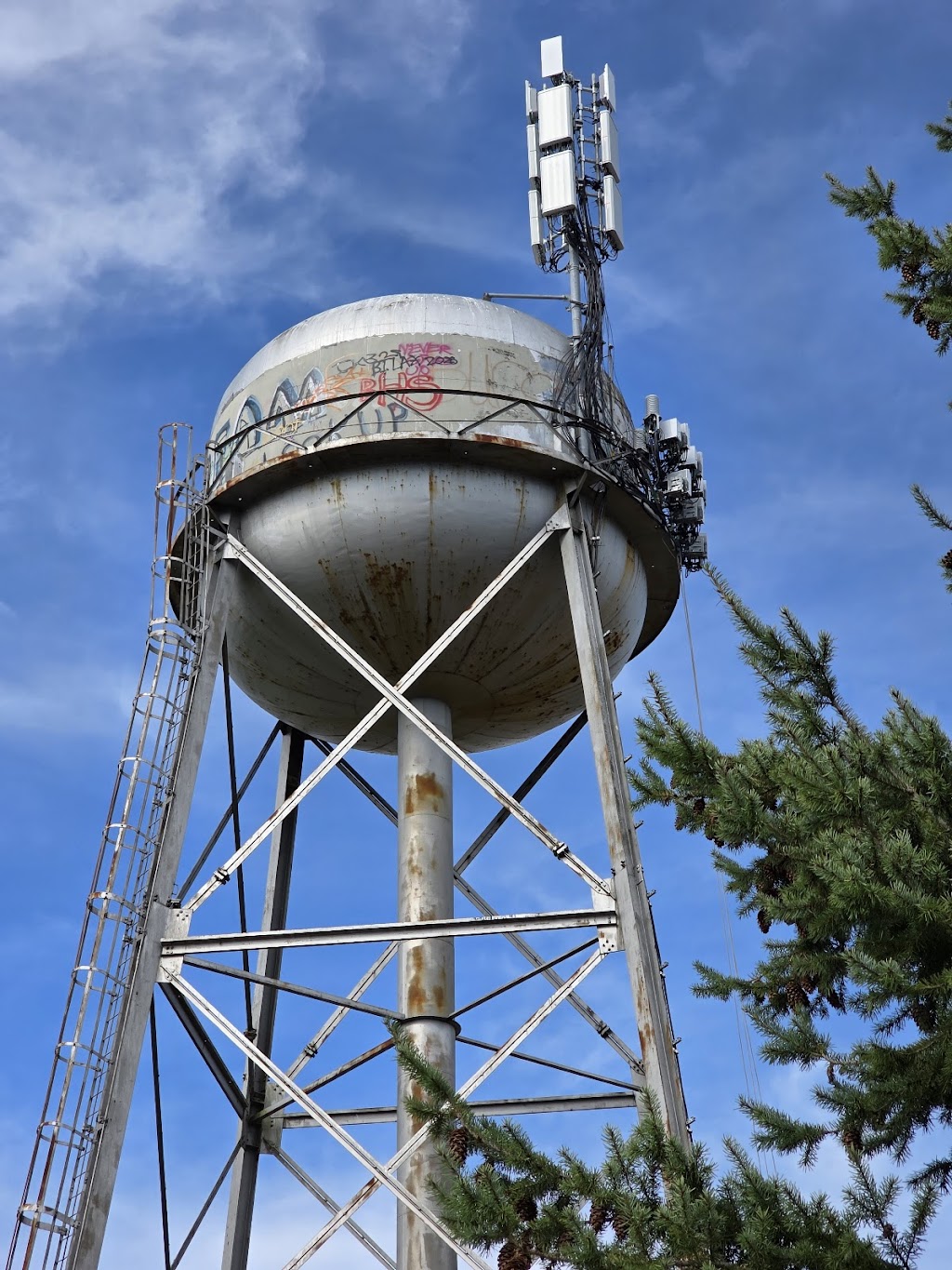 Battle Point Park | 11299 Arrow Point Dr NE, Bainbridge Island, WA 98110, USA | Phone: (206) 842-2306