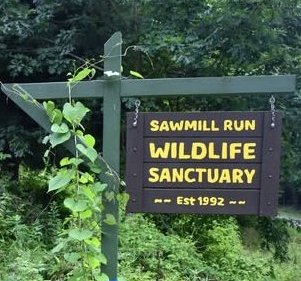 Sawmill Run Wildlife Sanctuary | 9346 Sawmill Run Rd, Little Valley, NY 14755, USA | Phone: (716) 945-1597