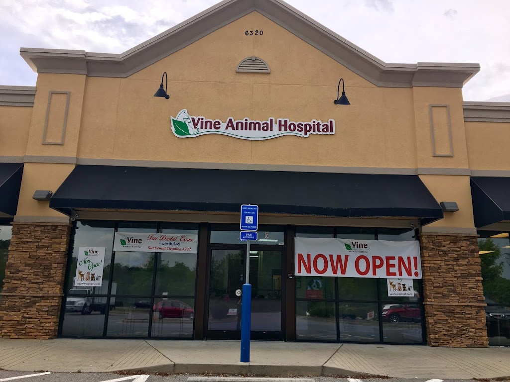 Vine Animal Hospital | 6320 Atlanta Hwy Suite 6, Alpharetta, GA 30004, USA | Phone: (770) 696-5668