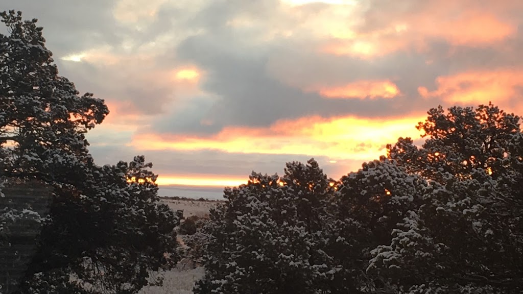 GreenValley Pest Management | 20 Entranosa Ln, Sandia Park, NM 87047, USA | Phone: (505) 435-7000