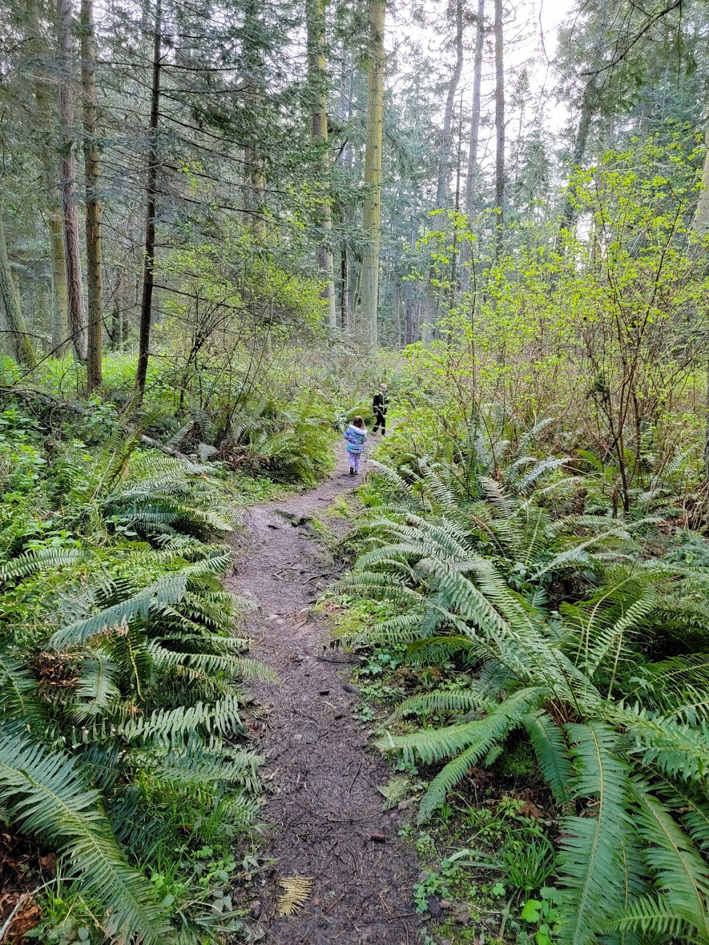 Camano Island State Park | 2269 Lowell Point Rd, Camano, WA 98282, USA | Phone: (360) 387-3031