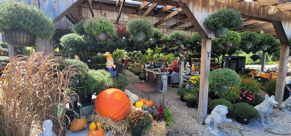 Lamberts Garden Center | 1 Cape Rd, Mendon, MA 01756, USA | Phone: (781) 389-5797