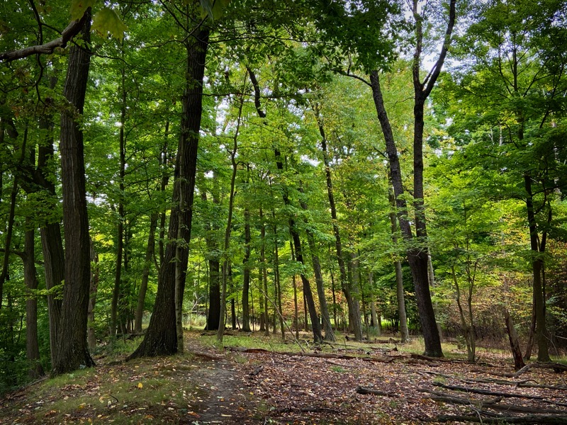 Penn Forest Natural Burial Park | 121 Colorado St, Verona, PA 15147 Mail:, 227 Kansas St, Verona, PA 15147, USA | Phone: (412) 265-4606