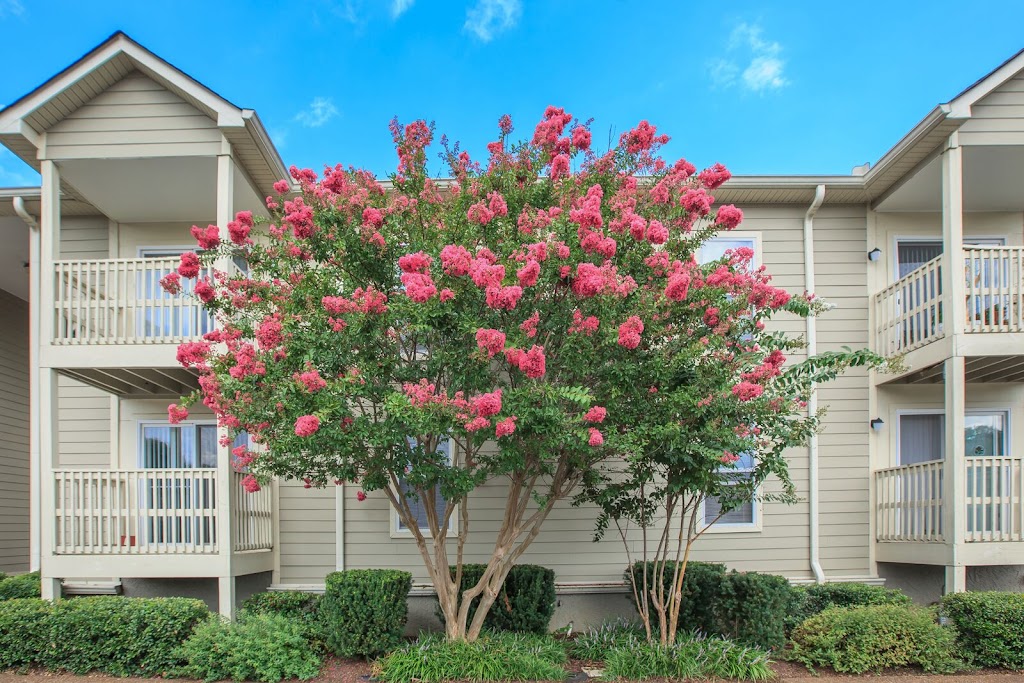 Chase Cove Apartments | 2999 Smith Springs Rd, Nashville, TN 37217 | Phone: (833) 460-1856