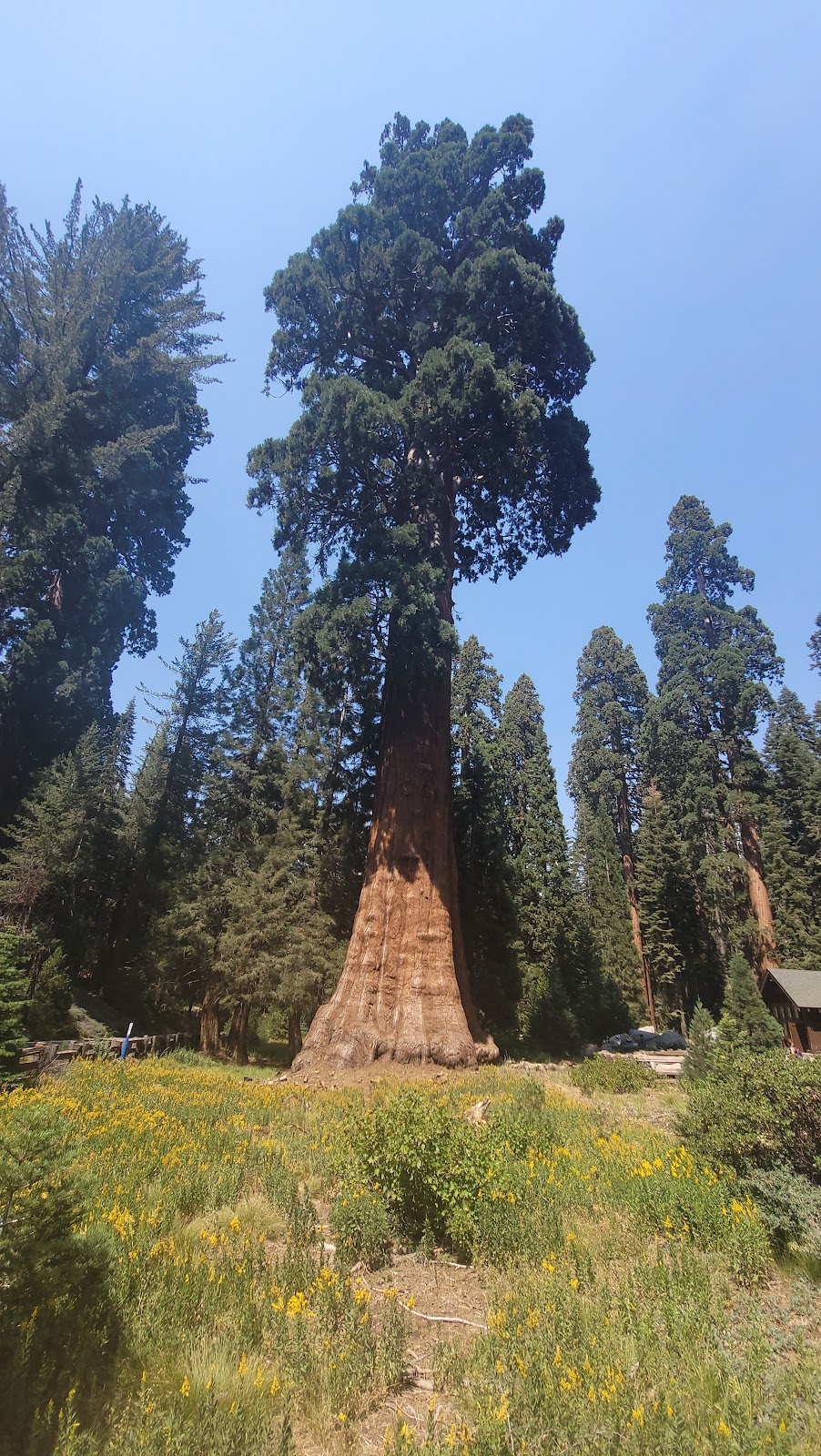 Visalia / Sequoia National Park KOA Journey | 7480 Avenue 308, Visalia, CA 93291, USA | Phone: (559) 651-0544