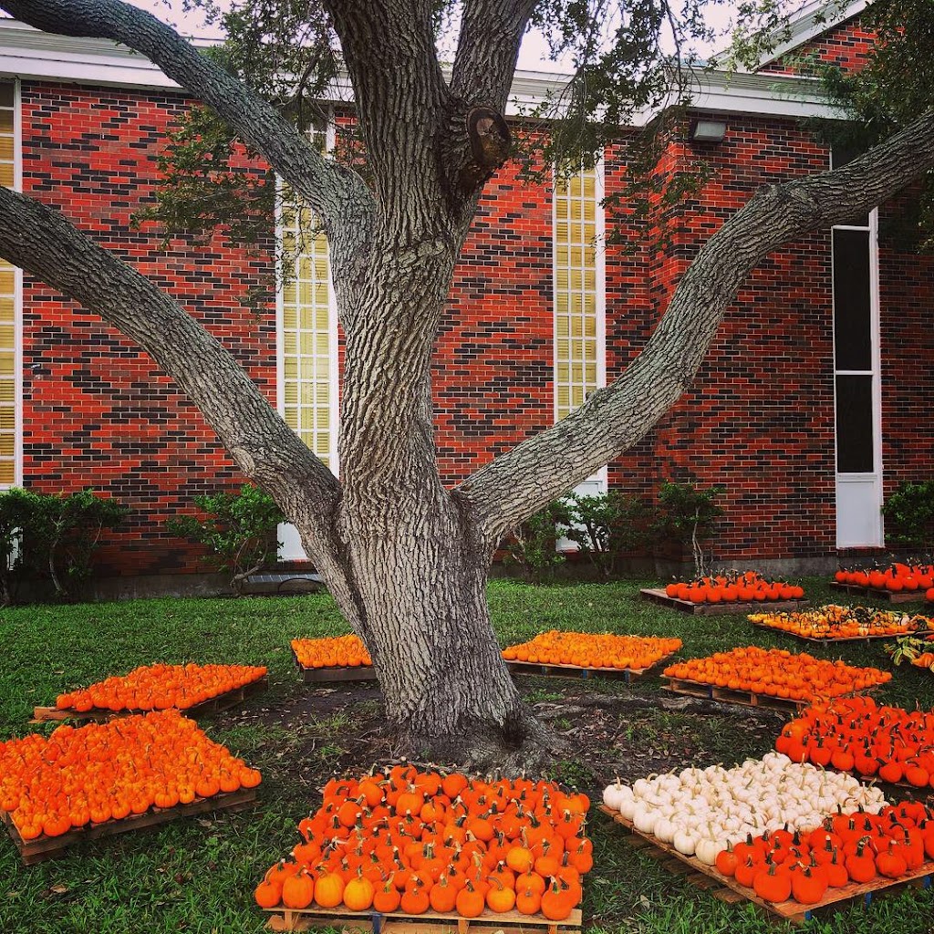 St Johns United Methodist Church | 5300 S Alameda St, Corpus Christi, TX 78412, USA | Phone: (361) 991-4342