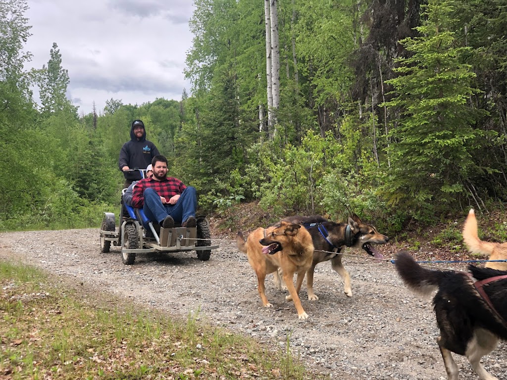 Alaskan Husky Adventures | 18408 W Reynolds Rd, Willow, AK 99688, USA | Phone: (907) 744-8211