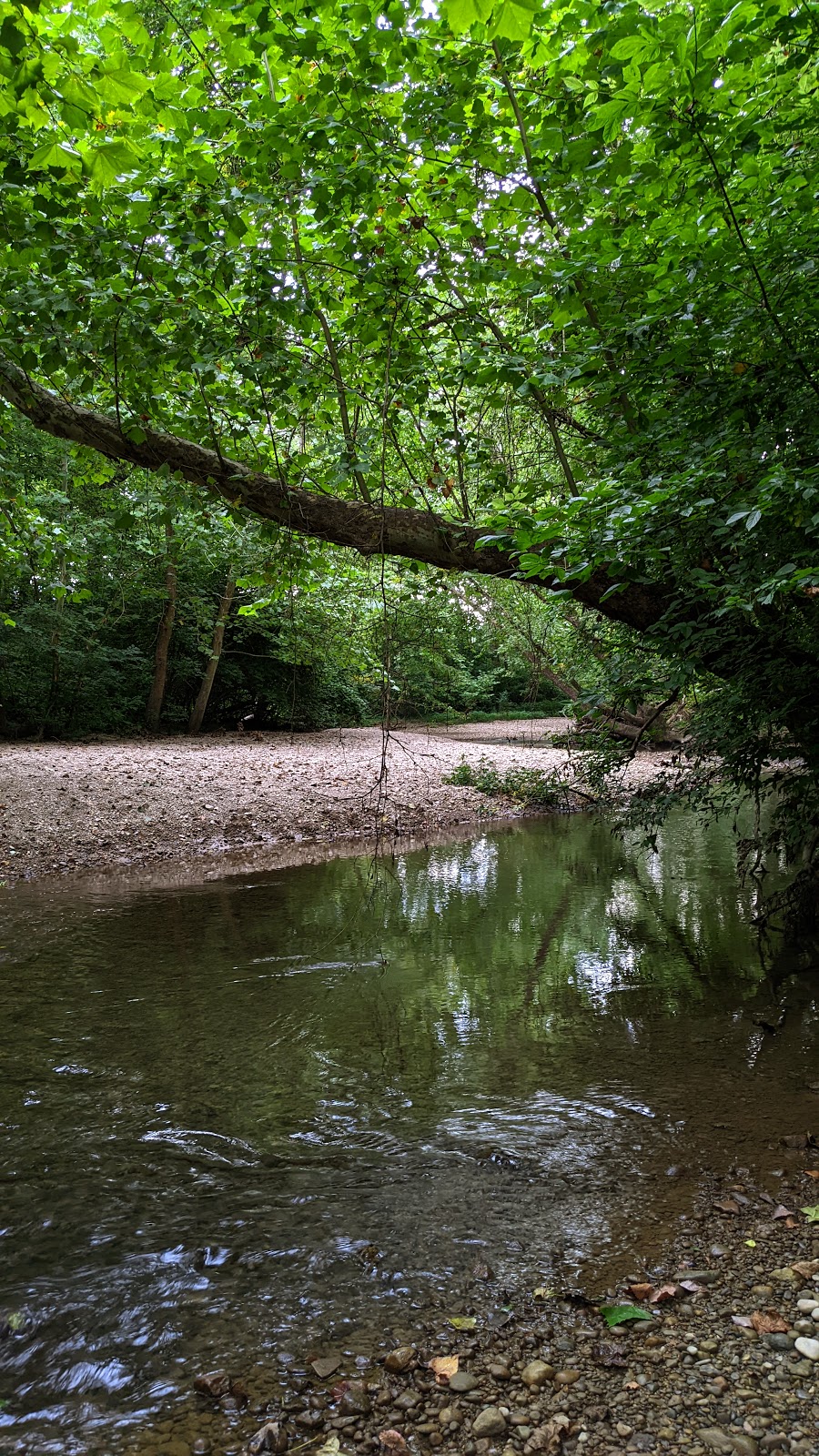 Kinnikinnick Wildlife Area | Orr Rd, Chillicothe, OH 45601, USA | Phone: (740) 589-9930