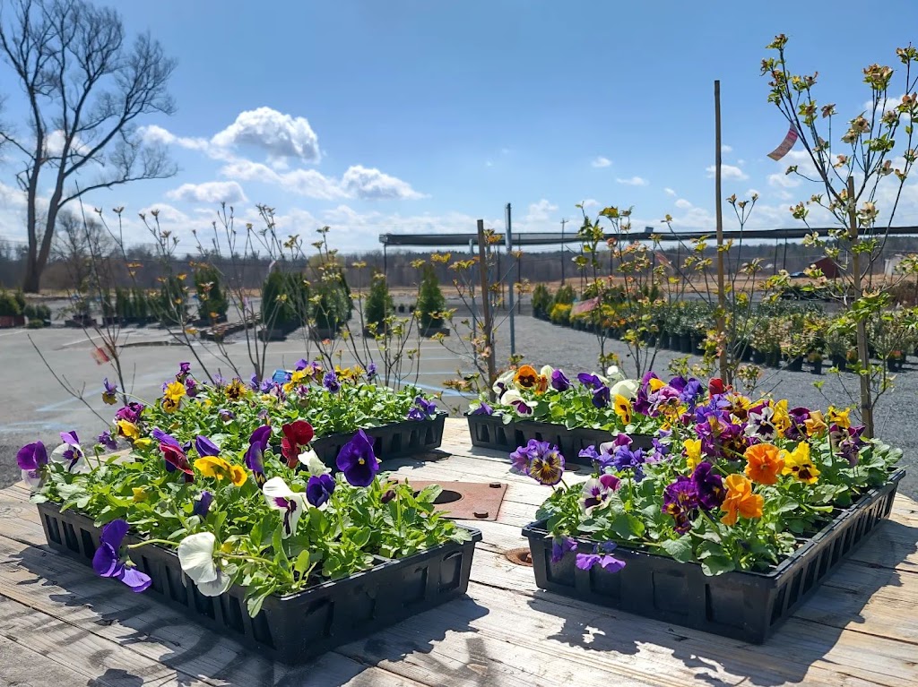 Sunshine Meadows Nursery & Landscape Supply | 610 Tanner Rd, Clifton Park, NY 12065, USA | Phone: (518) 384-0086