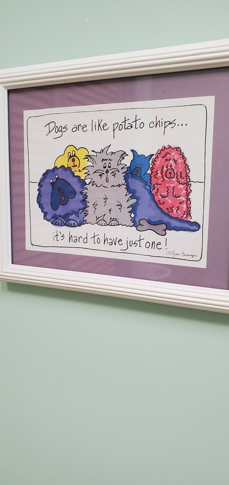 Eastgate Pet Clinic | 626 E Boise Ave, Boise, ID 83706, USA | Phone: (208) 336-3278