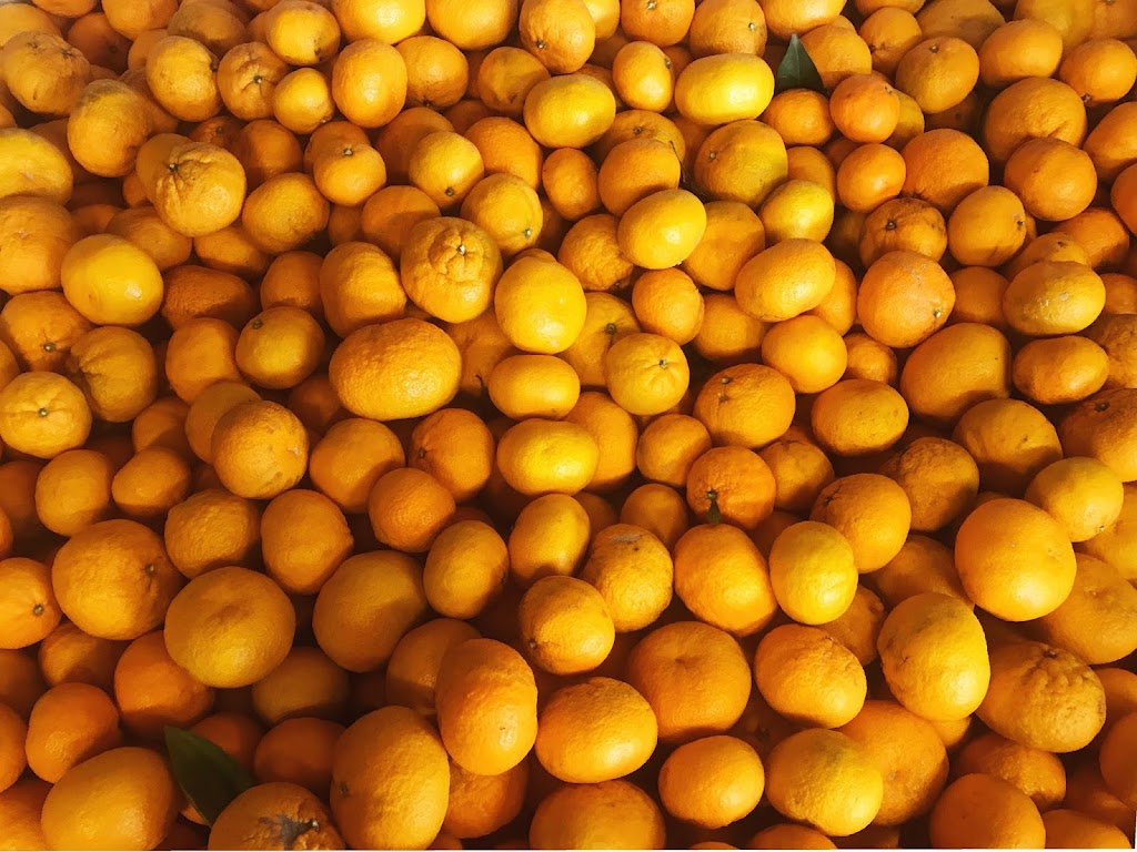 Side Hill Citrus Mandarins | 9200 CA-193, Newcastle, CA 95658 | Phone: (916) 343-1098