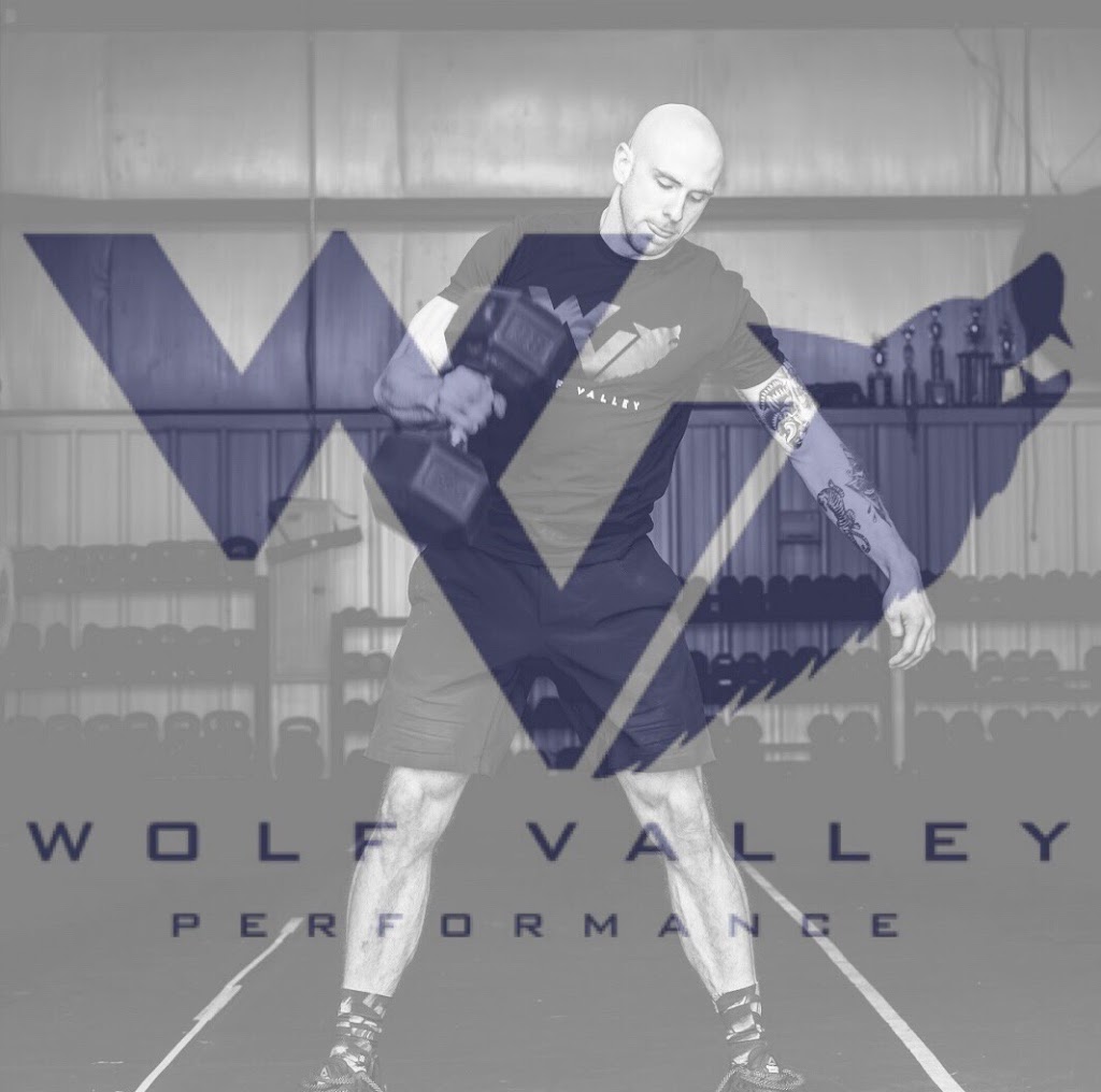 Wolf Valley Performance - CrossFit Wolf Nation | 770 Smithridge Dr #700, Reno, NV 89502, USA | Phone: (775) 391-0821