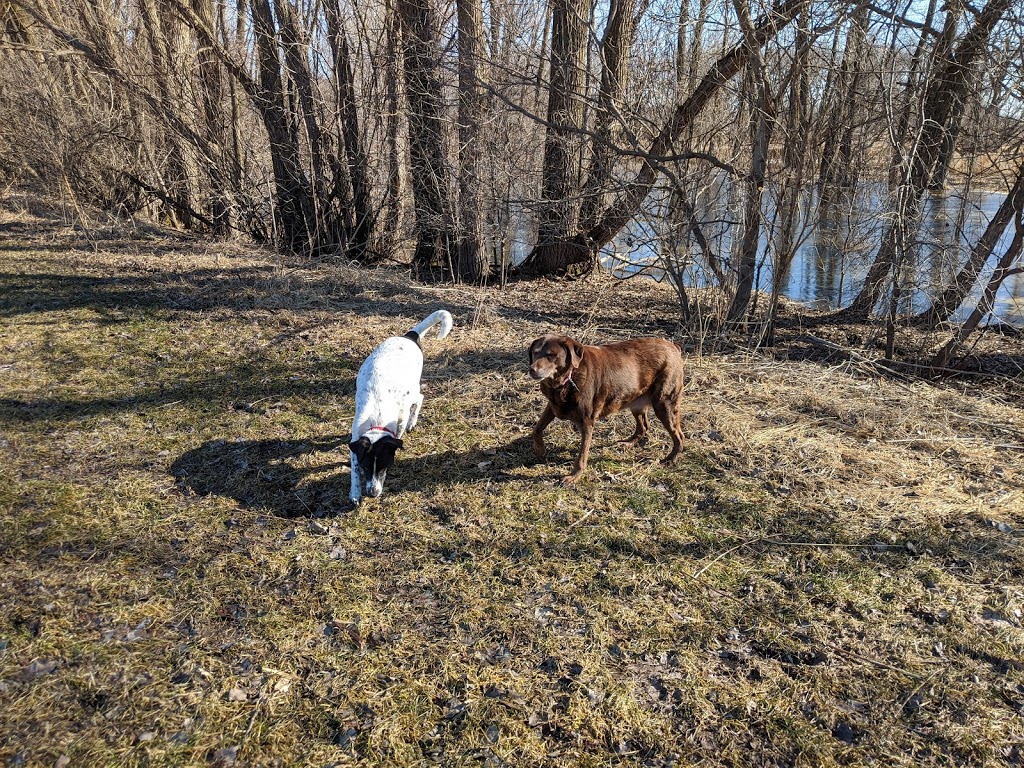 Pet Exercise Area | 1025 S Bird St, Sun Prairie, WI 53590, USA | Phone: (608) 837-3449