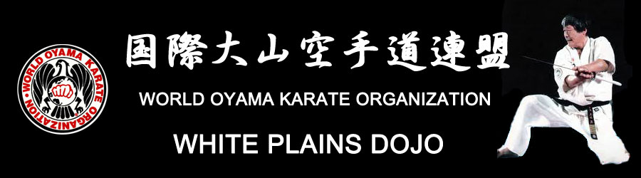 World Oyama Karate - White Plains Dojo | 398 Central Park Ave. Suite #B Greenville Plaza Shopping Center, Scarsdale, NY 10583, USA | Phone: (914) 681-0640