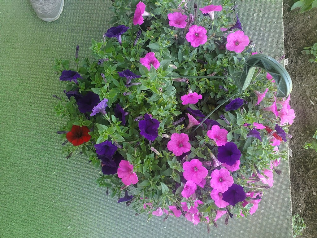 Engels Landscaping Center | 15810 Lockbourne Eastern Rd, Ashville, OH 43103, USA | Phone: (740) 983-9110